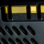 Исследование психологических механизмов популярности игры Wolf Gold