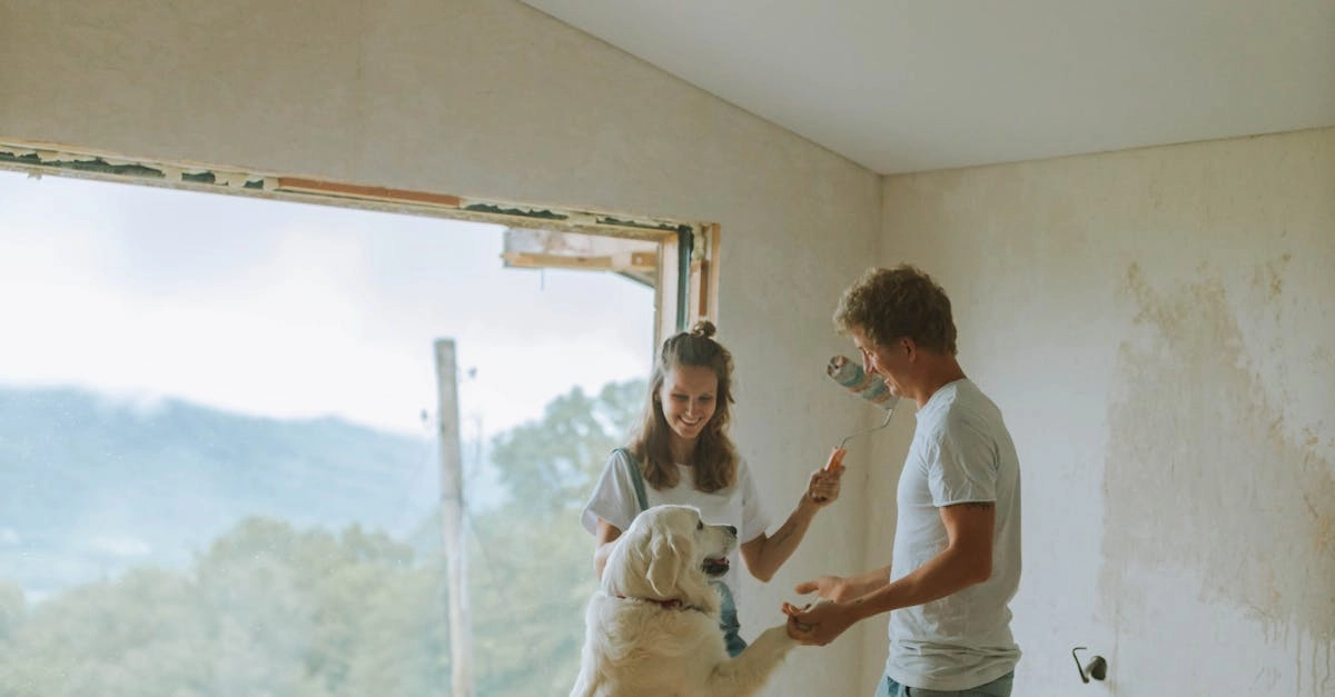 Психологические механизмы популярности слота The Dog House